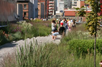 Die High Line in New York