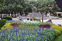 Grand Army Plaza, Manhattan