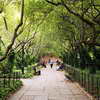 Conservatory Garden, Central Park