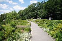 Heather Garden, Fort Tryon Park