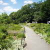 Fort Tryon Park - Heather Garden