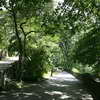 Fort Tryon Park