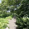 Staircase in Fort Tryon Park