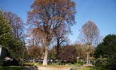 Parks in Paris