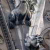 Gargoyles at the Notre-Dame Cathedral