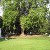 Parc Monceau