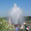 Flowers and fountain at Versailles