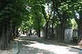 Cimeti�re du P�re-Lachaise