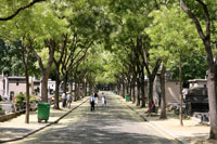 Montparnasse Cemetery, Paris