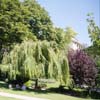 Jardins du Trocadéro