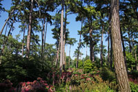 Parc Floral de Paris
