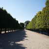 Tuileries - no tourists?