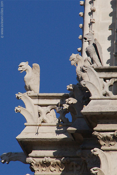 Notre Dame detail