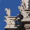 Notre Dame detail