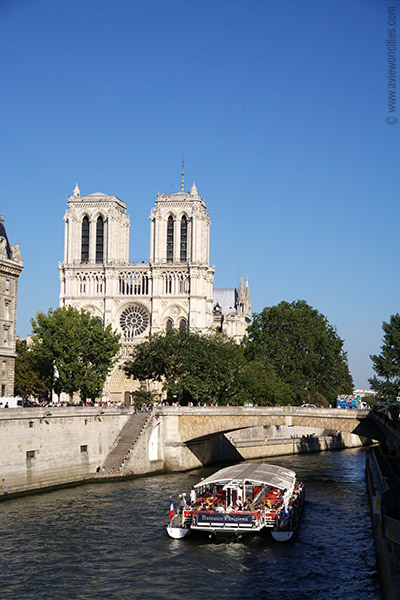 Notre Dame seen from the river