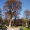 Jardins des Champs-Elysées