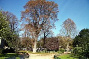 Jardins des Champs-Élysées, Paris