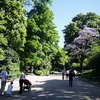 Parc des Buttes-Chaumont