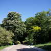 Parc des Buttes-Chaumont