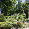 Shrubs at Parc Monceau