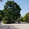 Parc Monceau