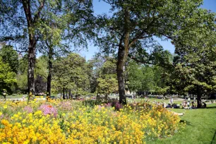 Flowerbed, Parc Monceau, Paris