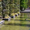 Pond at the Parc Andr� Citroen