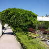 Terraced gardens, Parc Andr� Citroen