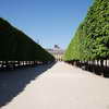 Jardin du Palais Royal