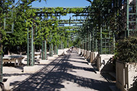 Pergola, Forum des Halles, Paris