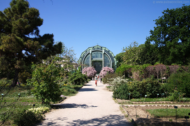 Jardin des Plantes