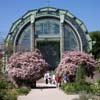 Jardin des Plantes