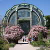 Art-Deco style wintergarden