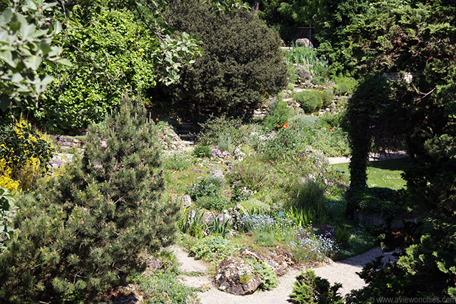 Alpine Garden