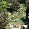 Alpine Garden