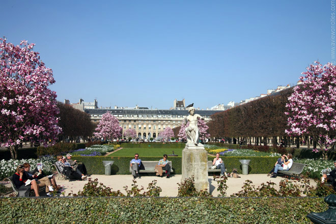 Garden Of The Palais Royal Paris Pictures