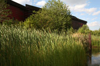 The garden of the Quai Branly Museum in Paris