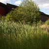Garden of the Quai Branly Museum