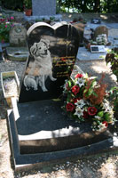 Grave of Fury at the Cimetière des Chiens