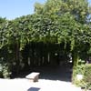Parc de la Turlure