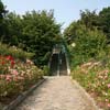 Parc de Belleville