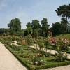 The rose garden in the Parc de Bagatelle