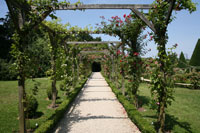 Pergola, Rose Garden, Parc de Bagatelle