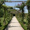 Pergola in rose garden of the Parc de Bagatelle