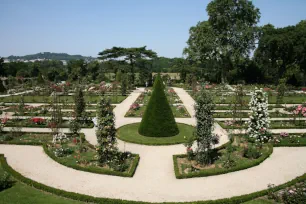 The Rose Garden of the Parc de Bagatelle in Paris