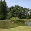 Miroir Japonais, Parc de Bagatelle