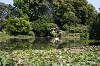 Bassin aux Nymphéas, Parc de Bagatelle