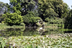 Bassin aux Nymphéas, Parc de Bagatelle, Paris