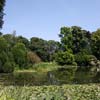 Bassin aux Nymphéas, Parc de Bagatelle