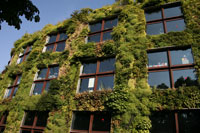 The Mur Vegetal of the Quai Branly Museum in Paris